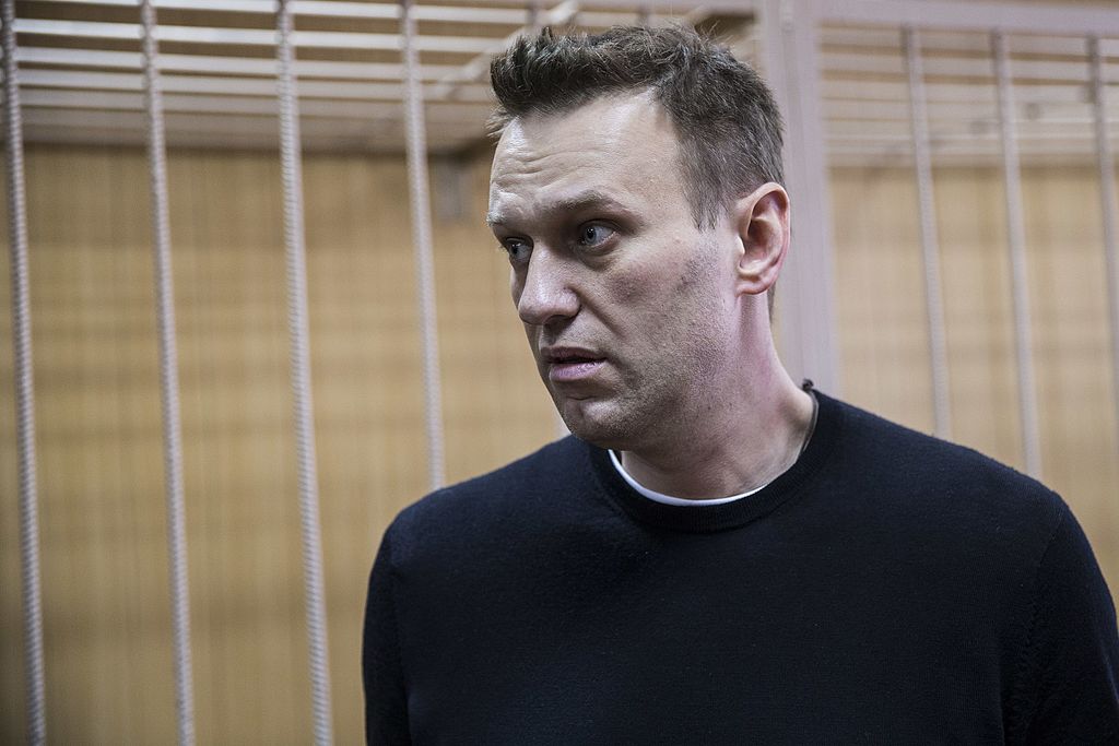 Navalnyjs mor siger hun har set hans lig