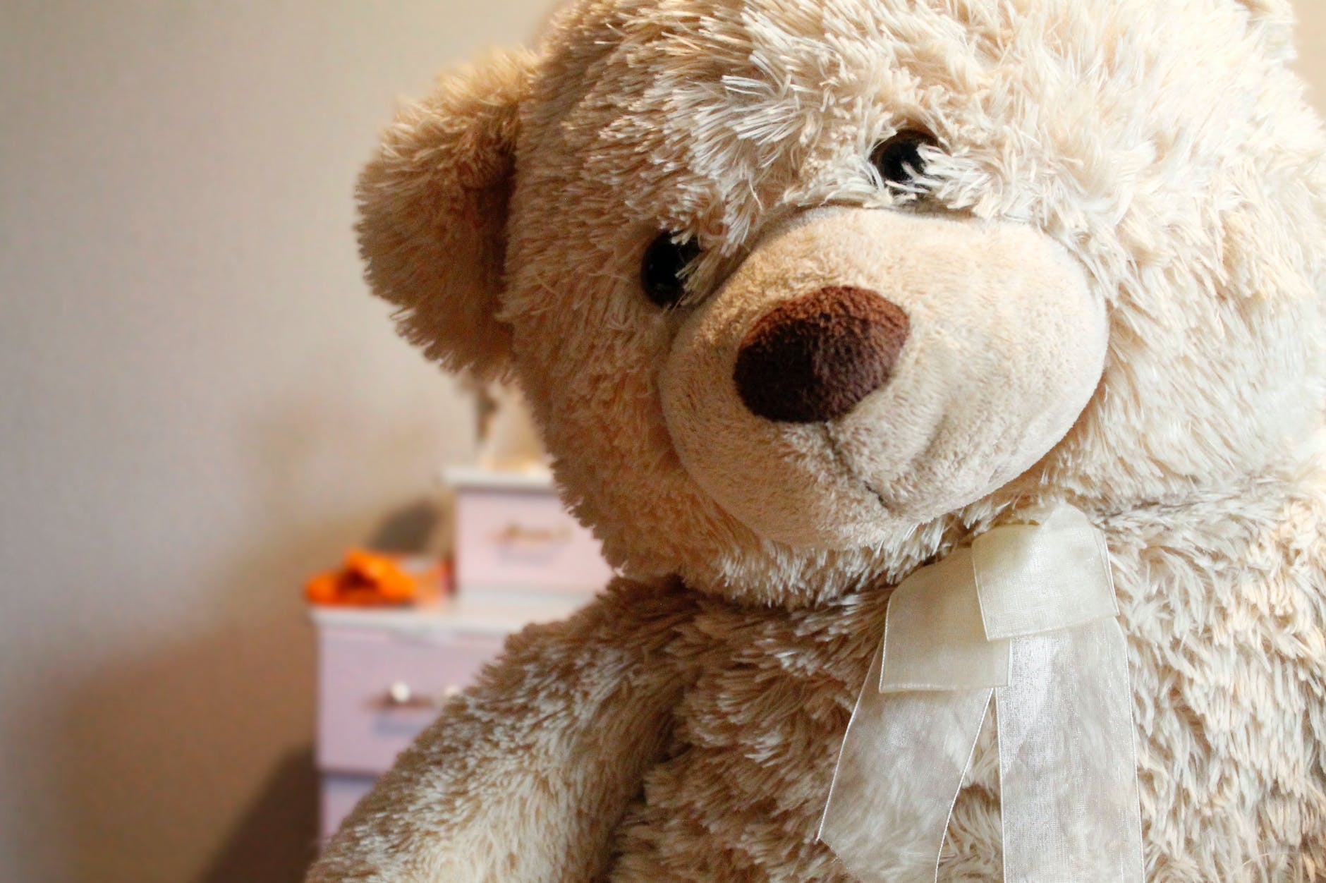 brown bear plush toy