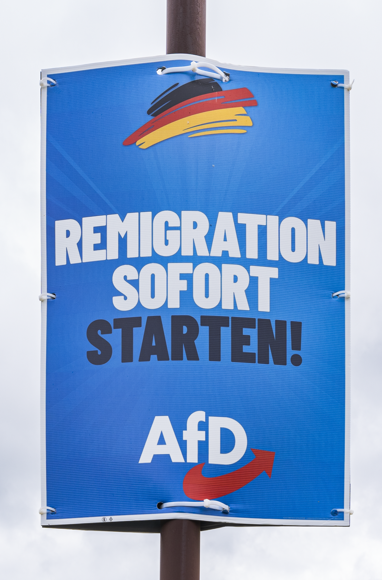 Efterretningstjeneste stempler AfD som højreekstremistisk
